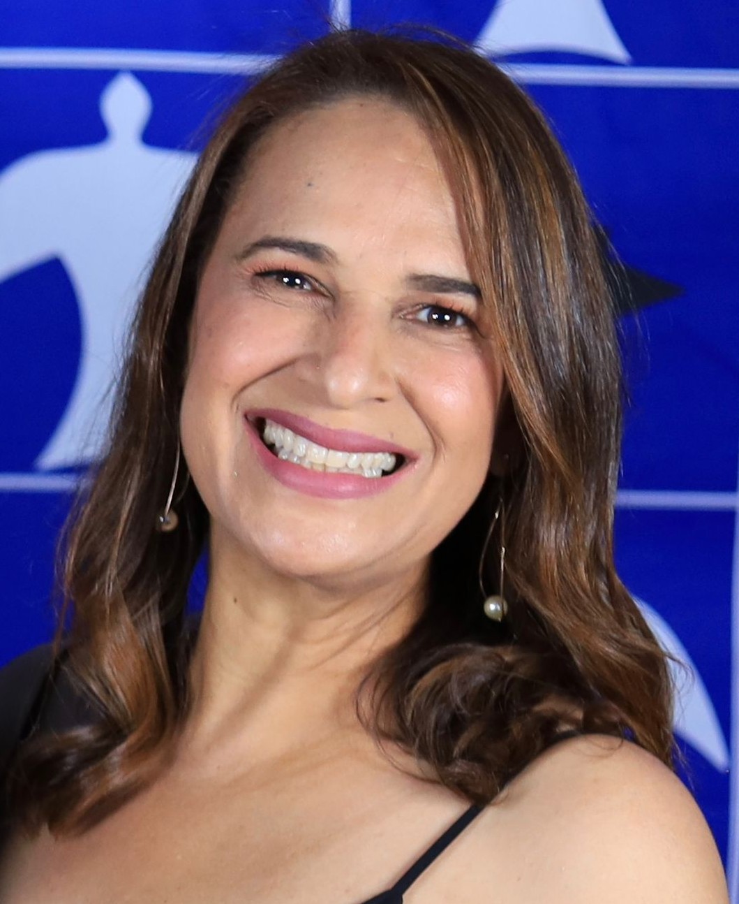 Andreia Pereira Silvério (Auditora-chefe CNPq)